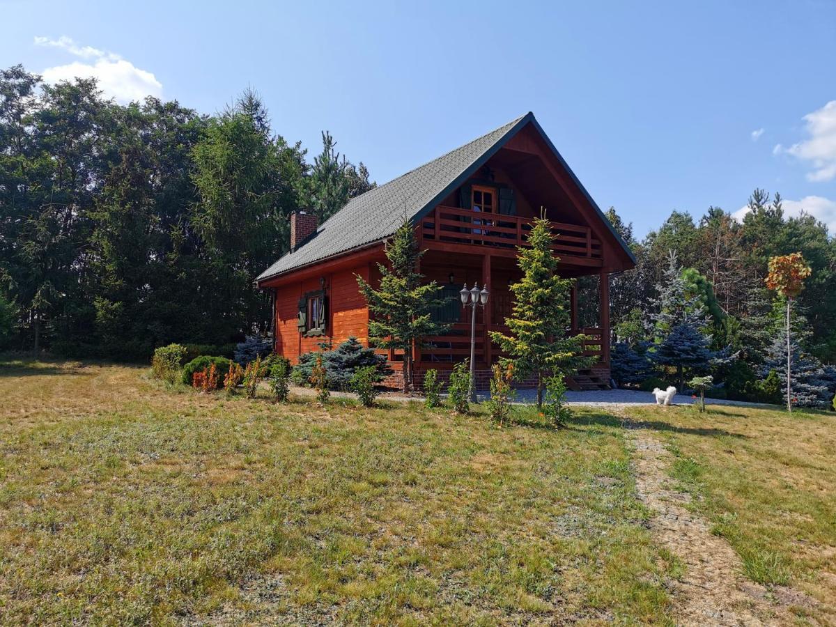 Domek Na Wsi Nad Jeziorem , Prywatny Staw Kamienczyk Dezerta ภายนอก รูปภาพ
